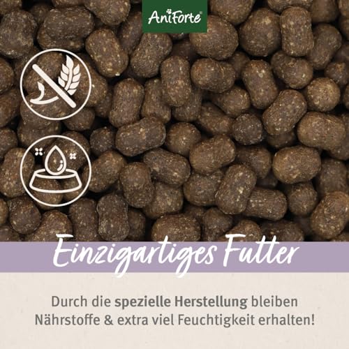 AniForte Lamm Trockenfutter für Hunde 7kg – Herzhaftes Lamm mit Süßkartoffeln & Vitaminen, Halbfeuchtes Trockenfutter, Hundefutter trocken getreidefrei & glutenfrei für Allergiker