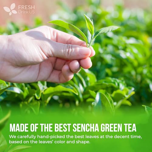 Image of FreshDrinkUS, Premium Sencha Powder 16 oz Fine Ground Green Tea Powder, Japanese-Style Tea for Hot or Iced Drinks, Unsweetened, Vegan & Gluten-Free