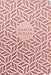 Biblia valor prémium NTV, letra grande con Filament (SentiPiel, Rosa) (Spanish Edition)