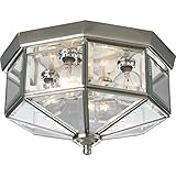 Progress Lighting P5789-09 Octagonal Close-To-Ceiling Fixture with Clear Bound Beveled Glass, Brushed Nickel