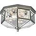 Progress Lighting P5789-09 Octagonal Close-To-Ceiling Fixture with Clear Bound Beveled Glass, Brushed Nickel