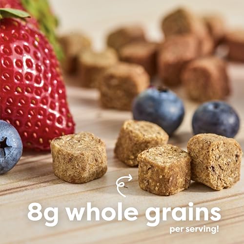 Image of Beech-Nut Oaty Bites Toddler Snack, Mixed Berry, 42 Snack Packs (6 Boxes) | Real Fruit & Whole Grain Snack for Toddlers, No Artificial Colors, Flavors, or Preservatives, Soft & Chewy, Gluten Free