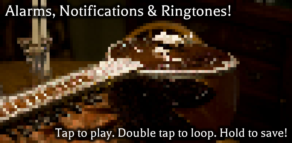 Sitar Sounds and for Android