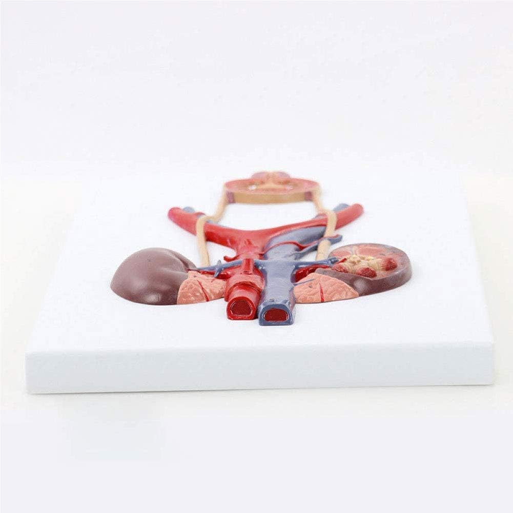 レガーメ 至限 XAS 6319 X-ARMATURA