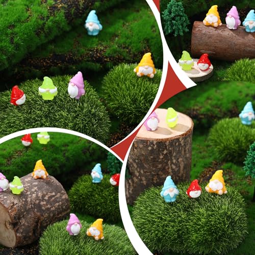 100 Figuras Mini Gnomos en Resina para Decoración miniatura 5