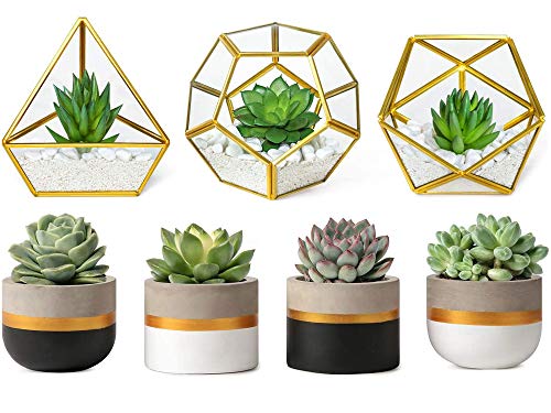 Mkono 3 Inch Mini Cement Succulent Planter Modern Tiny Concrete Cactus Plant Pots Small Clay Indoor Herb Window Box Container for Home Office Decor, Set of 4 (Plants NOT Included)