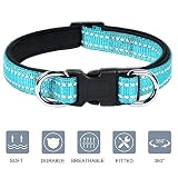 AUAUY Reflektierend Halsband Hund, Verstellbares Atmungsaktives Hundehalsband, Weich Gepolstertes Neopren Nylon Hunde Halsband mit AirTag-Hülle Doppel-D-Ring für Kleine Mittel Große Hunde(Blau-M)