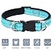 AUAUY Reflektierend Halsband Hund, Verstellbares Atmungsaktives Hundehalsband, Weich Gepolstertes Neopren Nylon Hunde Halsband mit AirTag-Hülle Doppel-D-Ring für Kleine Mittel Große Hunde(Blau-M)