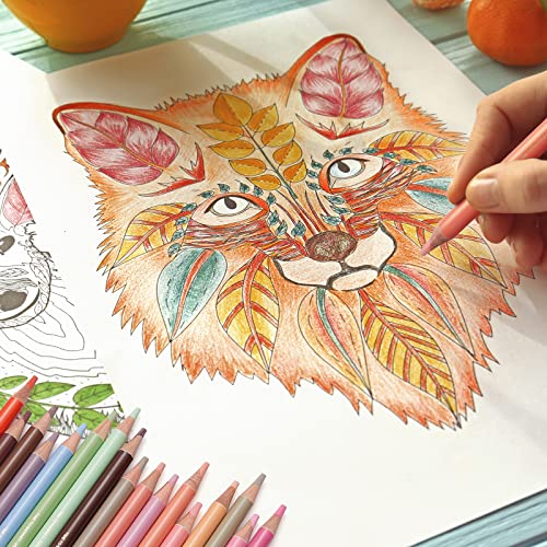 Yuancheng Skin Tone Colored Pencils For Portraits And Skintone Artists, 24 Colors Oil Colour Pencils For Drawing, Sketching, Adult Coloring, Shading, Coloring, Layering & Blending #TOP5