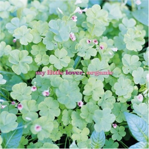 MY LITTLE LOVER  6枚セット Yahoo!オークション -「my little lover cd」の落札相場・落札価格