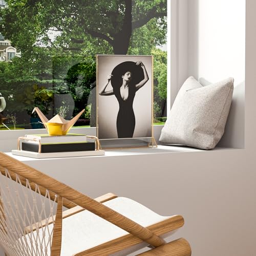 85x11 vertical acrylic sign holder with gold boarder 4 pack clear menu holder for tabletop restaurant retail paper holder picture frame certification frame 85x11 - vertical