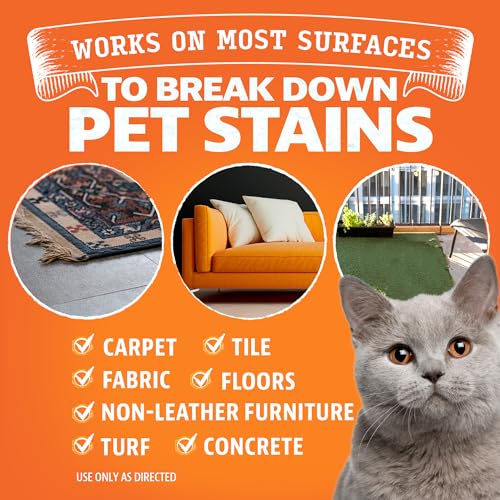 image for ANGRY ORANGE Cat Urine Odor Eliminator & Stain Remover, Pet-Friendly D