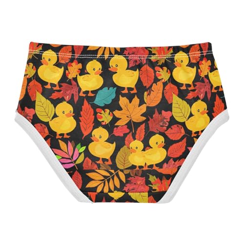 Cute Duck Toddler Girls's Underwear 2T 202c18182