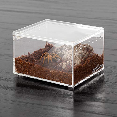 Repti Zoo Magnetic Acrylic Case 4.1 Inchx3.3 Inchx2.5 Inch Nano Enclosure Reptile Breeding Box Terrarium Cage Tank Tarantula Scorpion Sling Isopods Lizards Roach Invertebrates Insect Mantis thumb #5