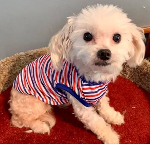 Qwinee Striped Dog Tank Top Stretchy Sleeveless Puppy Vest Cat Tee Shirt Pet Clothes For Small Medium Dogs Cats Kitten Multicolor M #TOP7