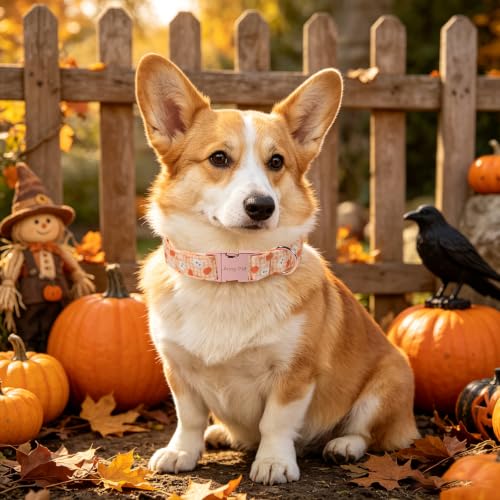 Image of ARING PET Halloween Dog Collar, Cute Autumn Orange Pumpkin Ghost Heavy Duty Doggy Collars for Puppy Small Medium Large Boy Girl Dogs-S