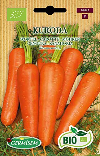 Germisem Biologico Kuroda Semi di Carota 4 g