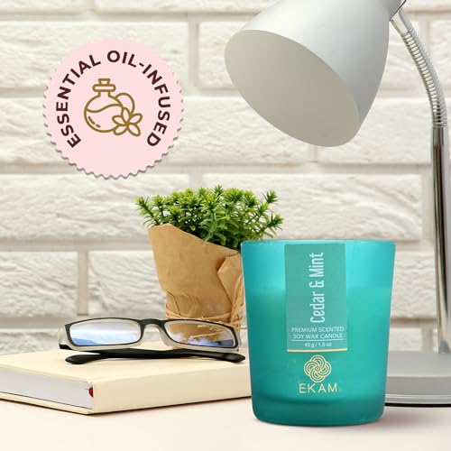 Image of EKAM Cedar & Mint Votive Soy Wax Scented Candle, 40 Grams, 10 Hours Burn Time| Long Lasting Premium Candles | Ideal for Home Decor | Gifting & Aromatherapy