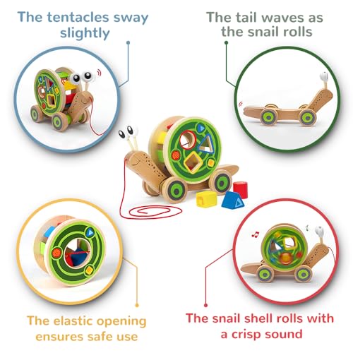Hape Nachzieh-Schnecke - Nachziehspielzeug aus Holz, mit abnehmbarem Schneckenhaus und Buntem Formensortierer, Motorikspielzeug, fördert Bewegung, Koordination und erstes Rollenspiel, ab 12 Monaten