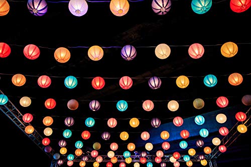 selizo Angelschnur, 3 Rollen Tranparente Monofile Angelschnüre Schmuckschnur Unsichtbare Nylonschnur mit 0,2mm 0,3mm 0… – Bild 7