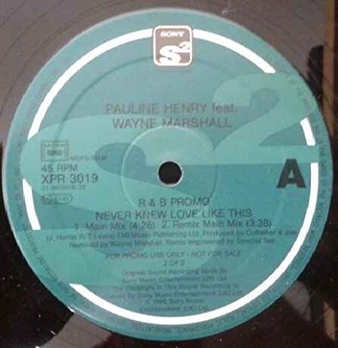 Never Knew Love Like This-12"