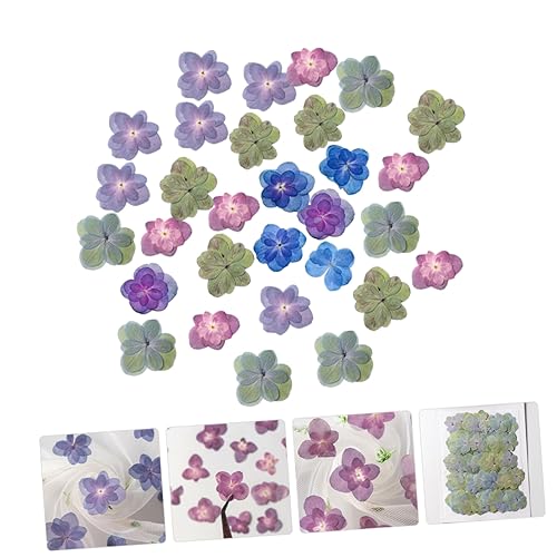 30 flores secas prensadas DIY para manualidades miniatura 6