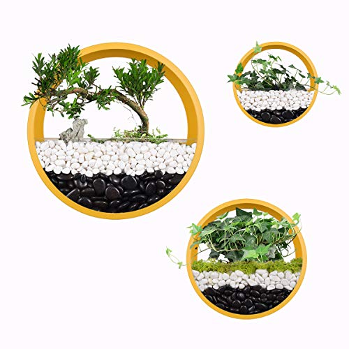 3 pcs Round Wall Hanging Planters Metal Plant Terrarium Wall-Mounted Plant Pot Wall Planter Vase for Herb, Small Cactus, Perfect for Balcony, Room and Office Decor(Yellow)