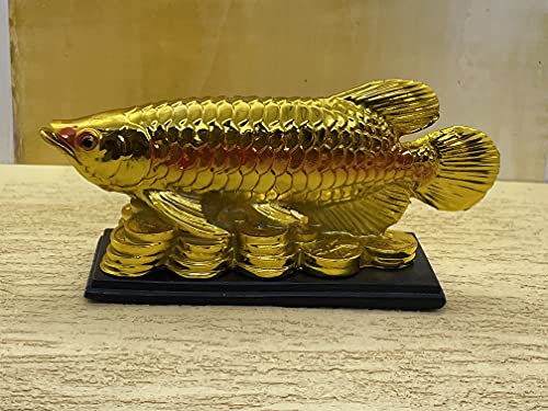 Image of Fengshui Exclusive Medium Size Polyresin Golden Arowana Fish Showpiece for Office Decor, Home Decoration (AF-2559)