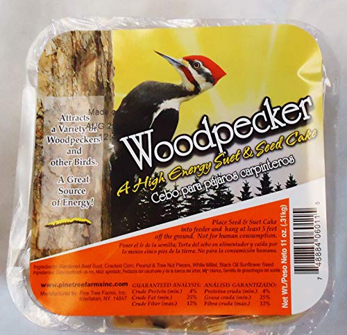 prdseed Woodpecker Suet Cakes – 10 Pack – High Energy Wild Bird Food for Winter Feeding – Attracts Woodpeckers, Jays, Chickadees & More – All-Natural 4x4 Blocks Suet Bird Food