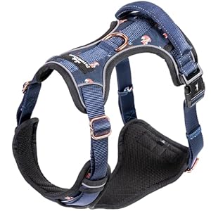 Freudentier Hundegeschirr Anti Zug Geschirr