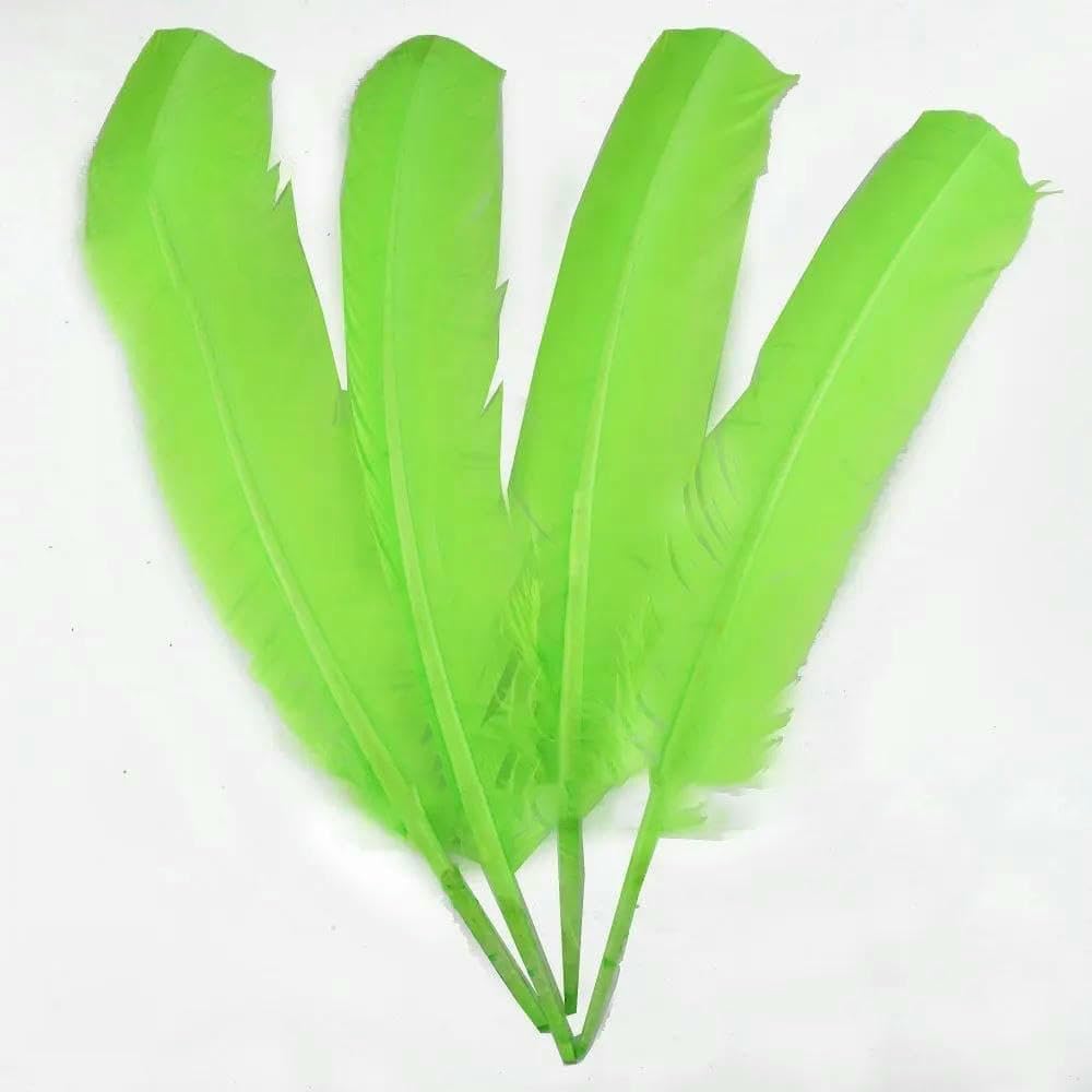 Plumes de faisan de carnaval pour carnaval, piquants de dinde, carnaval, coiffe, carnaval, aile, 28-33 cm, 11-13 pouces, 10-100 pièces - Vert fruit - 10 pièces