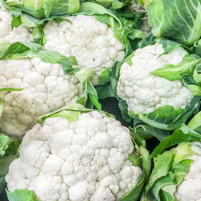 See full amazon price history chart for Avysa D104 Vegetable Seeds Cauliflower (Phool Gobhi), 2000 Seeds Avysa D104 Vegetable Seeds Cauliflower (Phool Gobhi), 2000 Seeds (B0CST9VNB2) Amazon Price History, Amazon Price Tracker