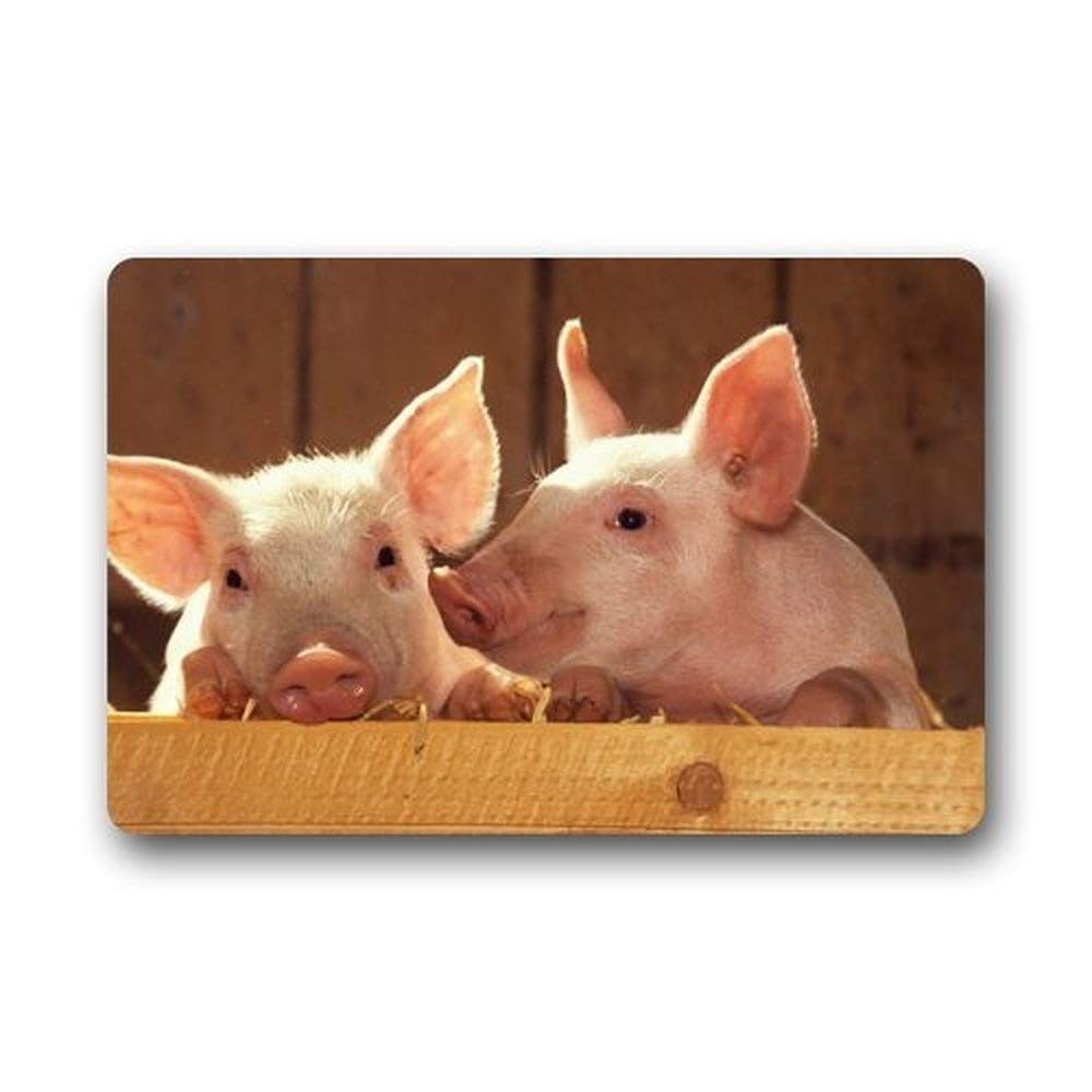 ZMvise Flannel Carpet Pig Custom Rubber Doormat Front Door Welcome Mat Rug Cover 18x 30 inch