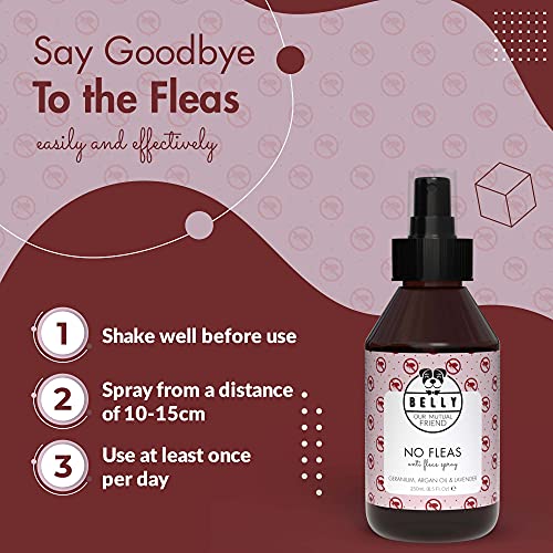 Belly Flohmittel für Hunde - 250ml - Floh- und Zeckenschutz ohne Flecken oder Rückstände, Flohspray wehrt Flöhe, Zecken und Mücken ab, vegan