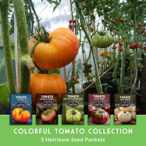 Colorful Heirloom Tomato Seeds 5 Variety Pack - Survival Garden Seeds - Image 4
