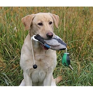   Dog-Training-Kit-Bumper-Mesh-Training-Dummy-Bumper-Storage-Bag-and-Training-Dummy-Retrieving-Dog-Duck-Bumper-Mallard-QTY-2-with-Whistle-Lanyard-Combo-and-Braided-Leash