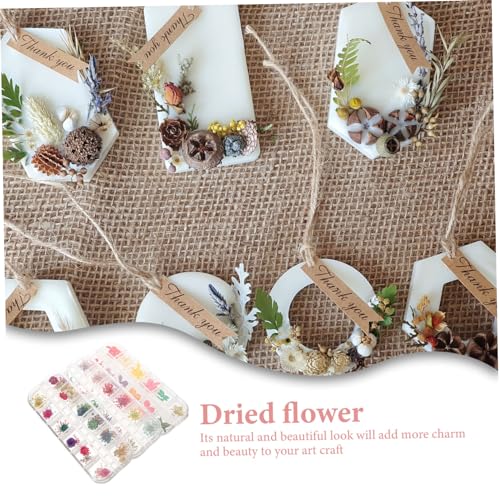 Kit de Manualidades Alipis con Flores Secas para Resina miniatura 5