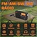 XHDATA D109WB Portable AM/FM/SW/LW/WB Weather Radio Shortwave Radio Receiver with NOAA Alert, Battery Operated Great Sound Wireless BT Mp3 Speaker, SOS Alert Alarm Clock Sleep Function