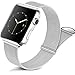 Magnetic Band Compatible For Apple Watch, Adjustable Metal Stainless Steel Band, Waterproof and Wear-resistant Mesh iWatch Replacement Straps for Women Men 7/6/5/4/3/2/1 SE (38/40/41mm, Sliver)