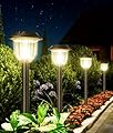 SUPER BRIGHT 10 Pack Solar Lights Outdoor IP65 Waterproof,HIGH-POWER LED Solar lights for Outside,Landscape Lighting,Garden Decorative for Yard,Patio,Landscape,Pathway,Sidewalk,Driveway,Lawn (Warm)