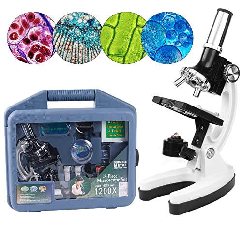Artenjoyfine Science Microscope Stem Kit For Kids 300X-1200X High Magnification,Includes Prepared Blank Slides And Led Light,Educational Protable Microscope For Students And Beginners. #TOP15