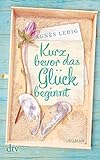 Cover zum Buch Kurz bevor das Glück beginnt