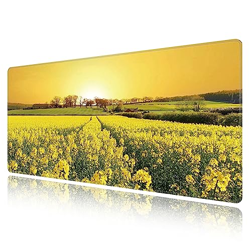Tapis de souris gaming géant pour grand bureau paysage et setup informatique