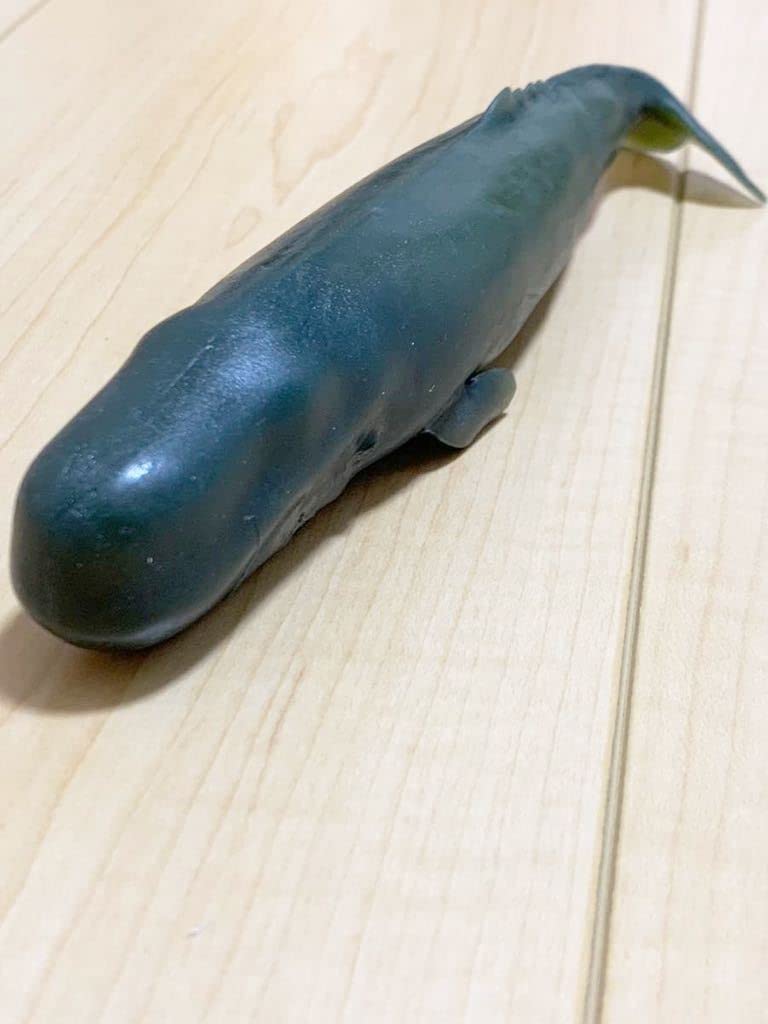 Amazon.co.jp: くじら&Co. WHALES&Co. ビッグ マッコウクジラ 色が