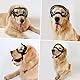 PETLESO Hundebrille Winddichte Hunde Sonnenbrille Hund Schutzbrille mit Verstellbare Band Geeignet für Mittelgroße bis Große Hunde-Clear