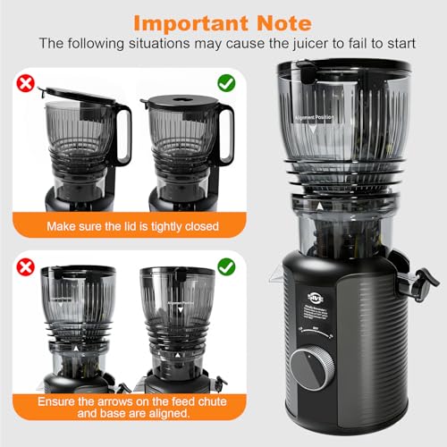 Vertical Masticating Juicer Machine