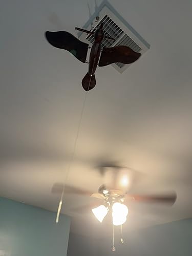 Amazon.co.jp: 職人手作り木製飛ぶ鳥3D(3次元)モデル翼付き|独占ホーム