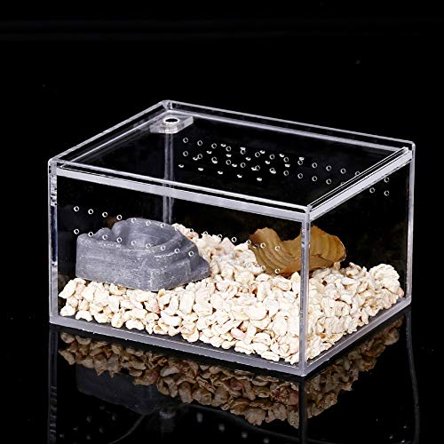 NANEEZOO Caixa de acrílico para reprodução de répteis, 12 x 10 x 7,6 cm, caixa plana e longa, caixa