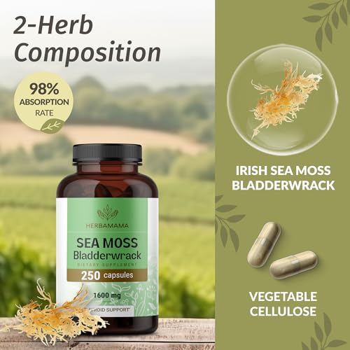 HERBAMAMA Irish Sea Moss + Bladderwrack Capsules (250 ct) — view 4