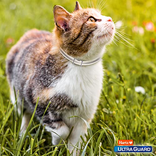 Hartz 032700155940 Ultraguard Pro Flea & Tick Collar For Cats And Kittens thumb #9
